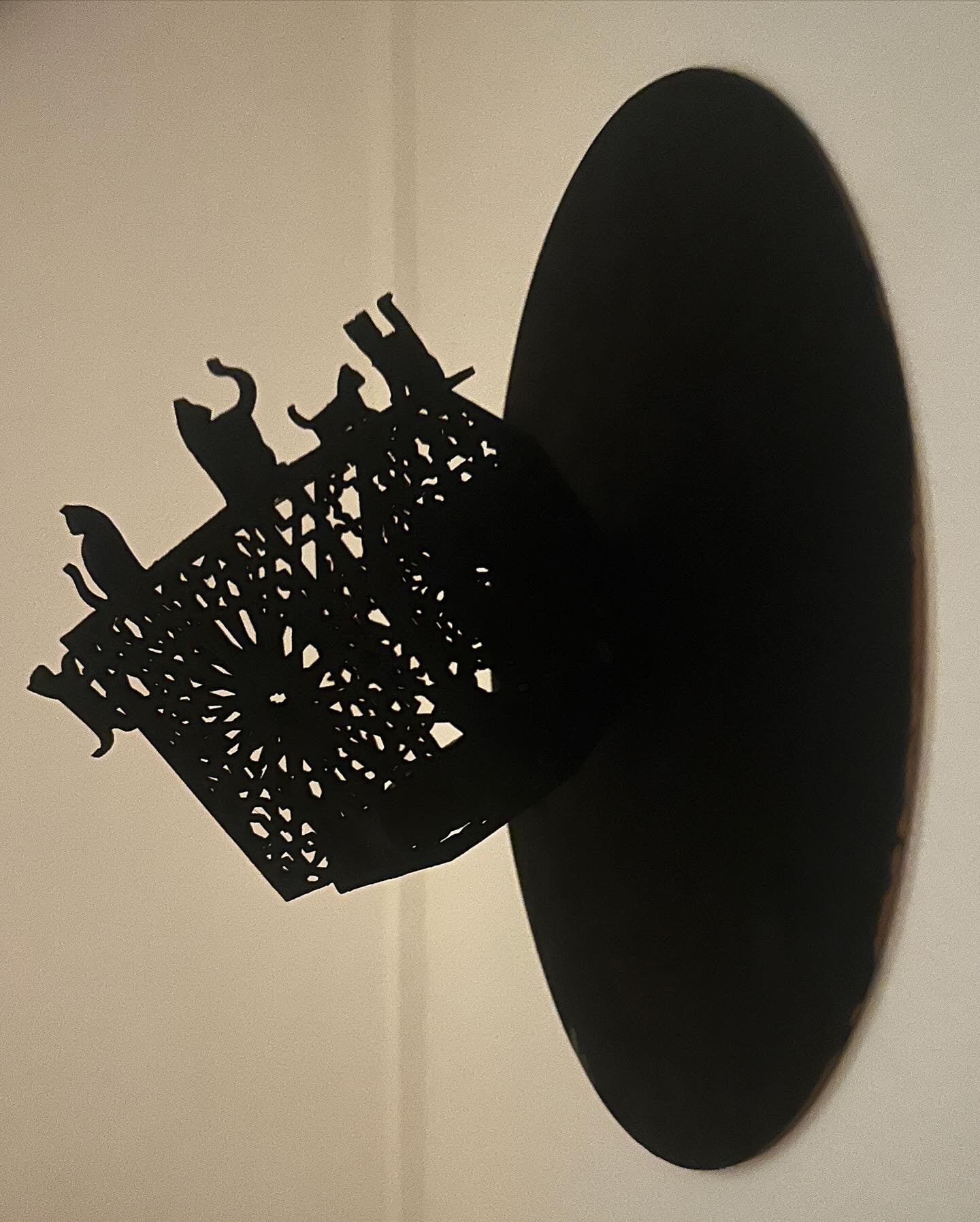 Perspective Places. Cats of Fez