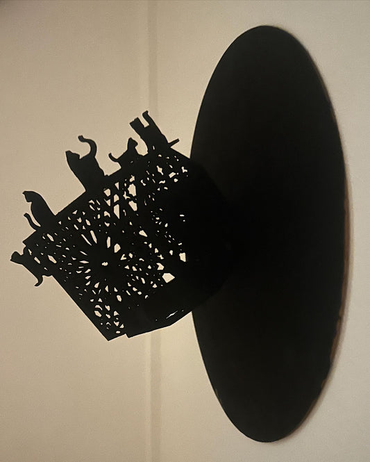 Perspective Places. Cats of Fez