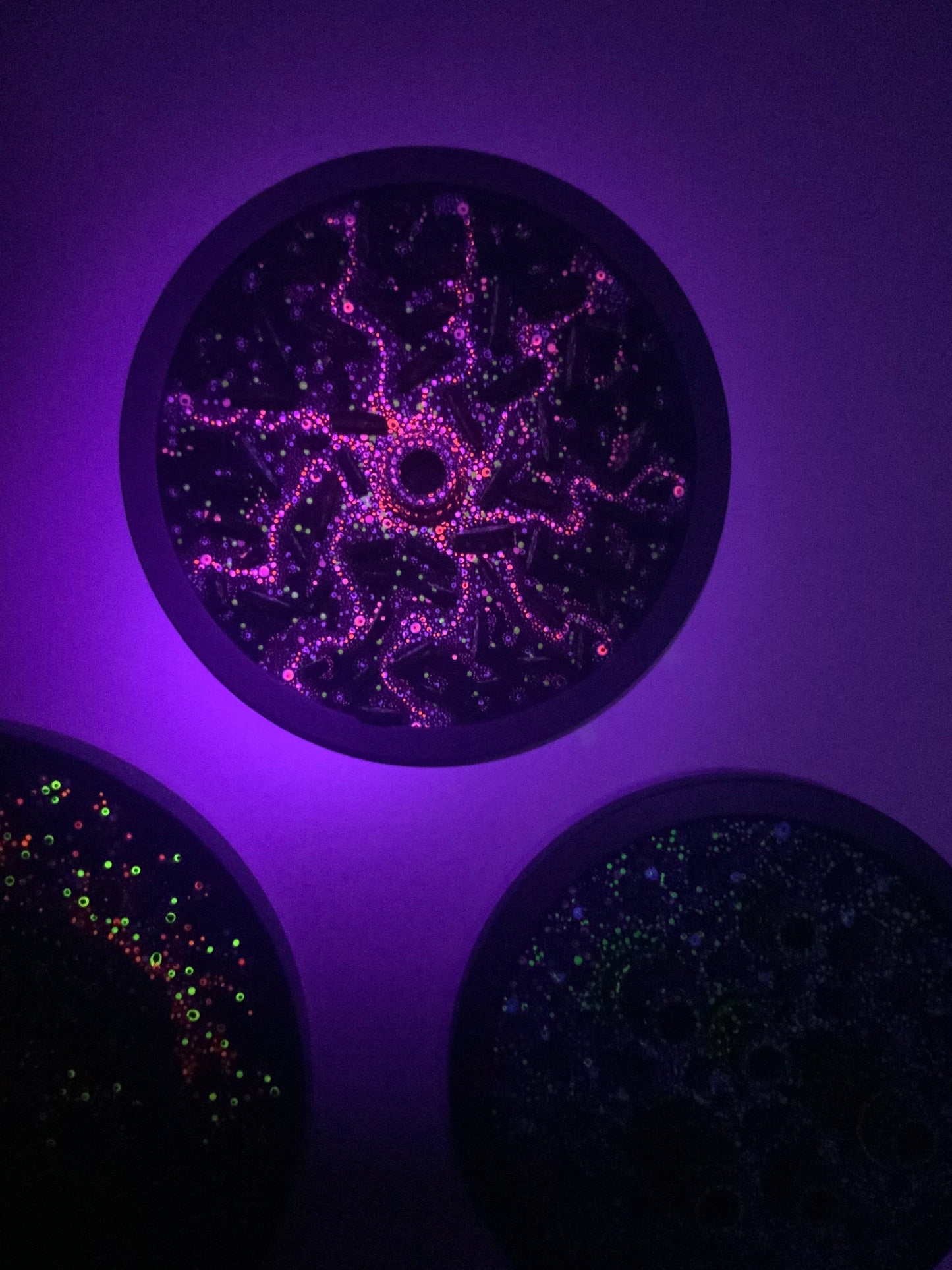 Microbiology - Serratia