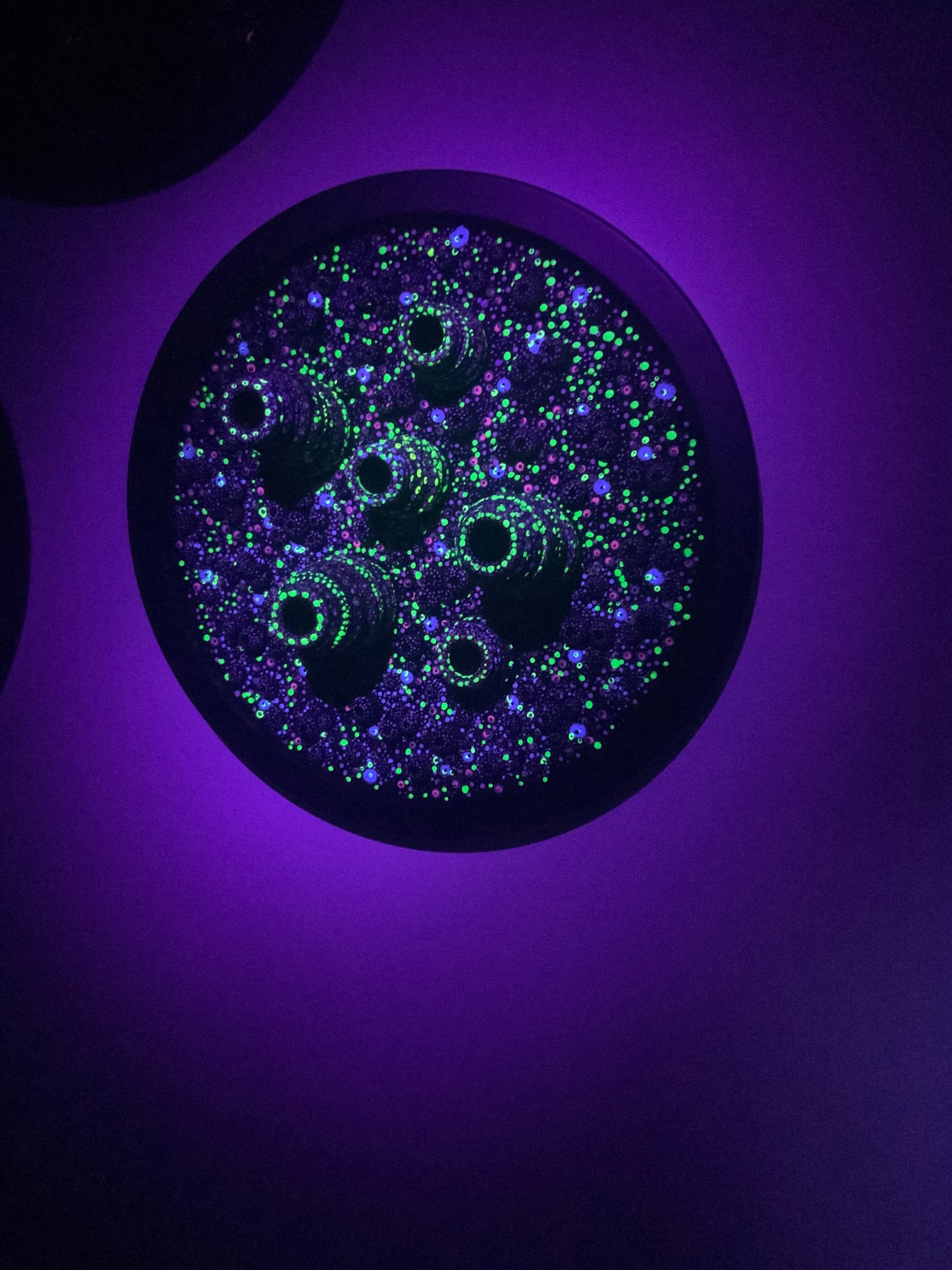 Microbiology - Leptothrix