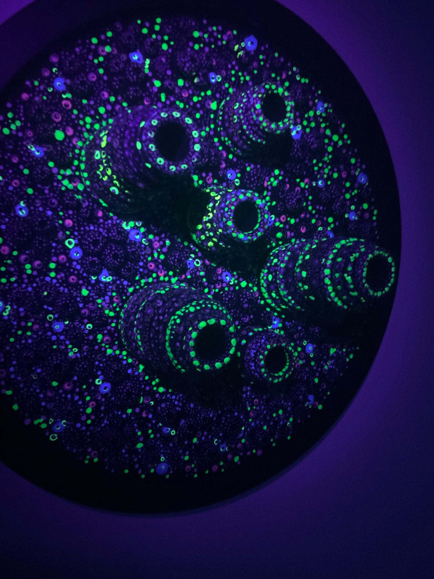 Microbiology - Leptothrix