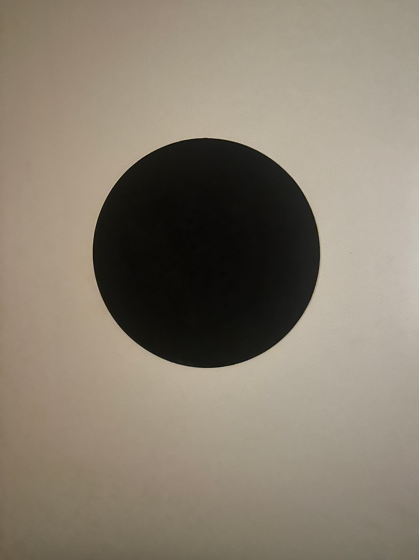 Perspective Places. Cats of Fez