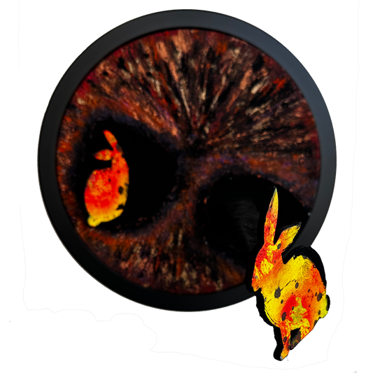 Perspectives. Rabbit Hole