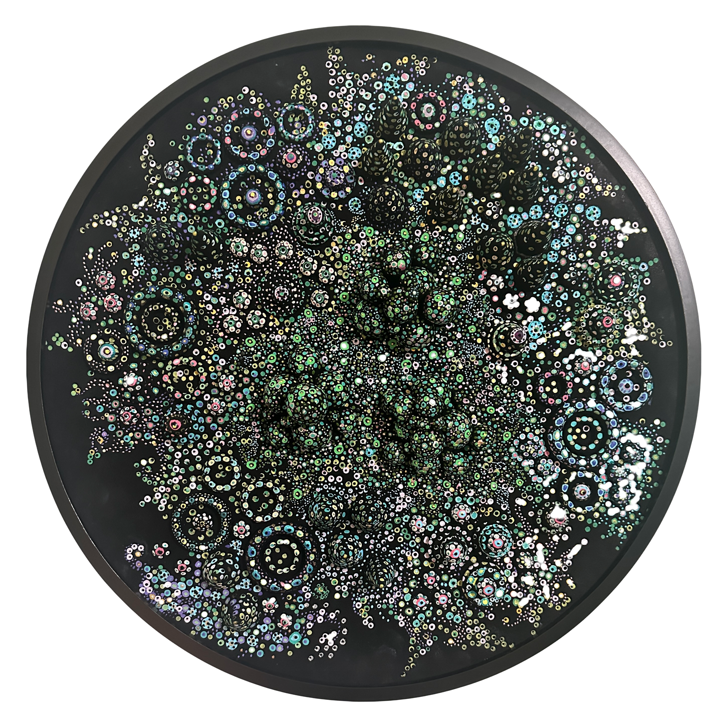 Hidden Worlds - Anabaena